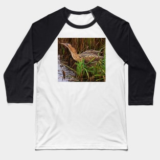 Bittern Baseball T-Shirt